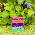 O'Donnell Air Freshener/ওডোনিল এয়ার ফ্রেশনার