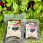 ChiaSeed / চিয়াসিড