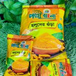 Holuder Gura/হলুদের গুঁড়া