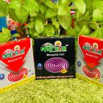 মশার কয়েল / Mosquito Coil