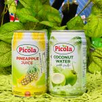 Picola Juice 330 ml/পিকোলা  জুস ৩৩০ মিলি