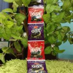 Pran Sweet Plum 1 packet/প্রাণ মিষ্টি বরই ১ প্যাকেট