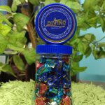 প্রাণ ডিভিনো চকলেট (360g)