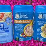 Gerber (USA)/গার্বার (ইউএসএ)