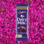 Dairy Milk India 105g