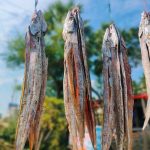 ছুড়ি শুটকি/Churi Shutki