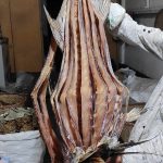 লাক্কা শুটকি ১কেজি/Lakka Shutki 1Kg